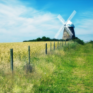 性偷窥老女人俱乐部
